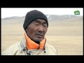 MONGOLIA Perros pastores 14-01-2016