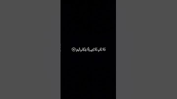 وعنده مفاتِح الغيب لا يعلمها الا هو - سورة الانعام || ادريس ابكر #كرومات_قرآن