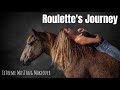 Texas Extreme Mustang Makeover 2020- Roulette's Journey (100 Day Wild Mustang Challenge)