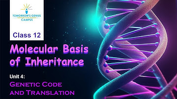 Molecular Basis of Inheritance Class 12 | Genetic Code & Translation Explained | NEET 2026
