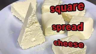 How To Make Triangle And Square Soft Cheese La Vache