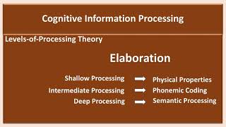 Celebrity Cognitive Information Processing  Part 1 Net Worth