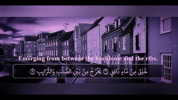 أحمد خضر سورة الطارق 86