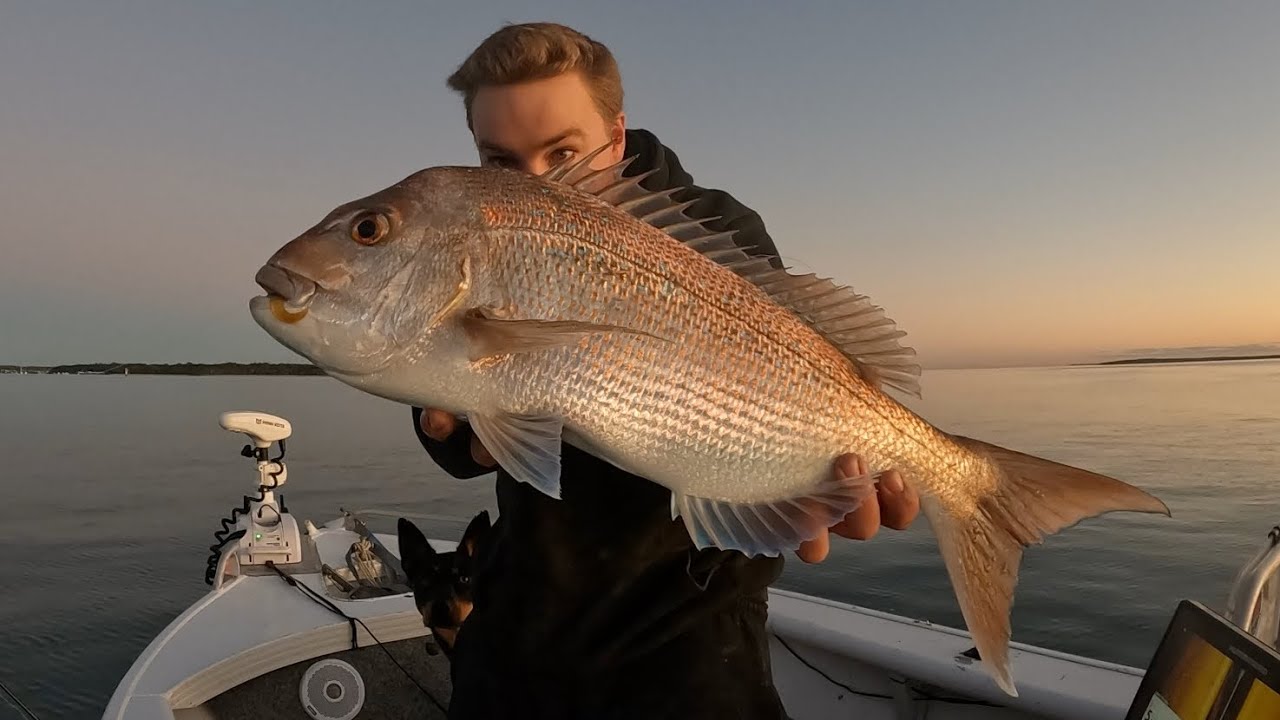 Big Snapper, Schooled up and Biting Hard, Fishing in Moreton Bay. - YouTube