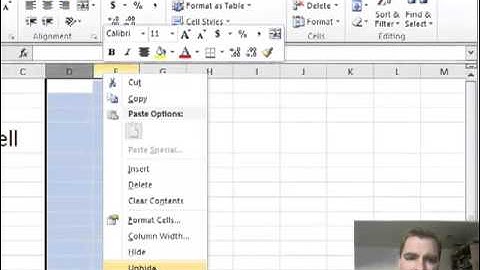 Excel Video 255 Format Menu