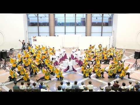 [4K] 同志社大学京都よさこい連 心粋 『澄晴』神戸よさこい 2019 スペースシアター会場