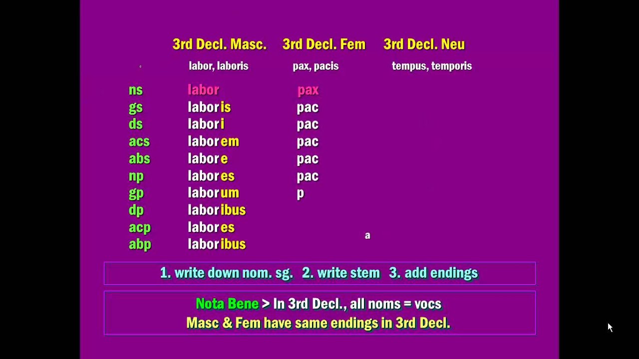 Declining Latin Nouns 57