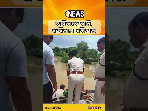 ବନ୍ୟା ପାଣିରେ ଫସିଲେ ମତ୍ସ୍ୟଜୀବୀ ପରିବାର, ବୋଟ୍‌ରେ ପହଞ୍ଚି ଉଦ୍ଧାର କଲା ପ୍ରଶାସନ | Knews Odisha