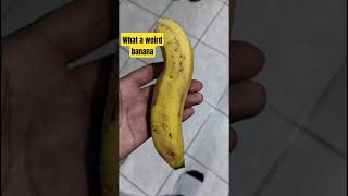 Download Mp3 Funky Day #banana #funny #fruit #memes #food #music #funkyday #dj Gudang lagu Download Mp3 Funky Day #banana #funny #fruit #memes #food #music #funkyday #dj