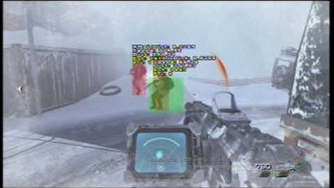 Call Of Duty MW2 Mods on singleplayer