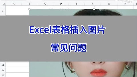 Excel表格插入图片常见问题：插入一张很大的图片。#wps #excel