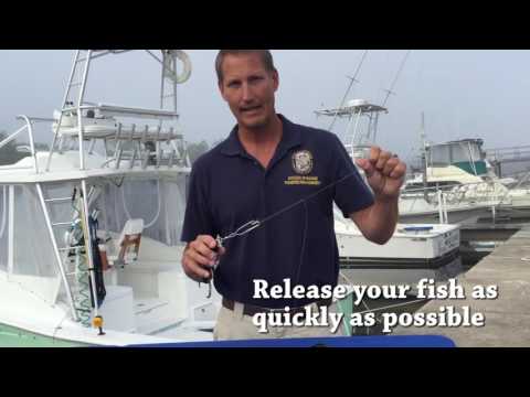 How to use a Seaqualizer fish descending device