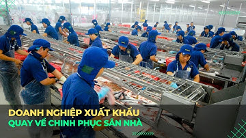 Doanh nghiệp xuất khẩu quay về chinh phục sân nhà | VTVMoney