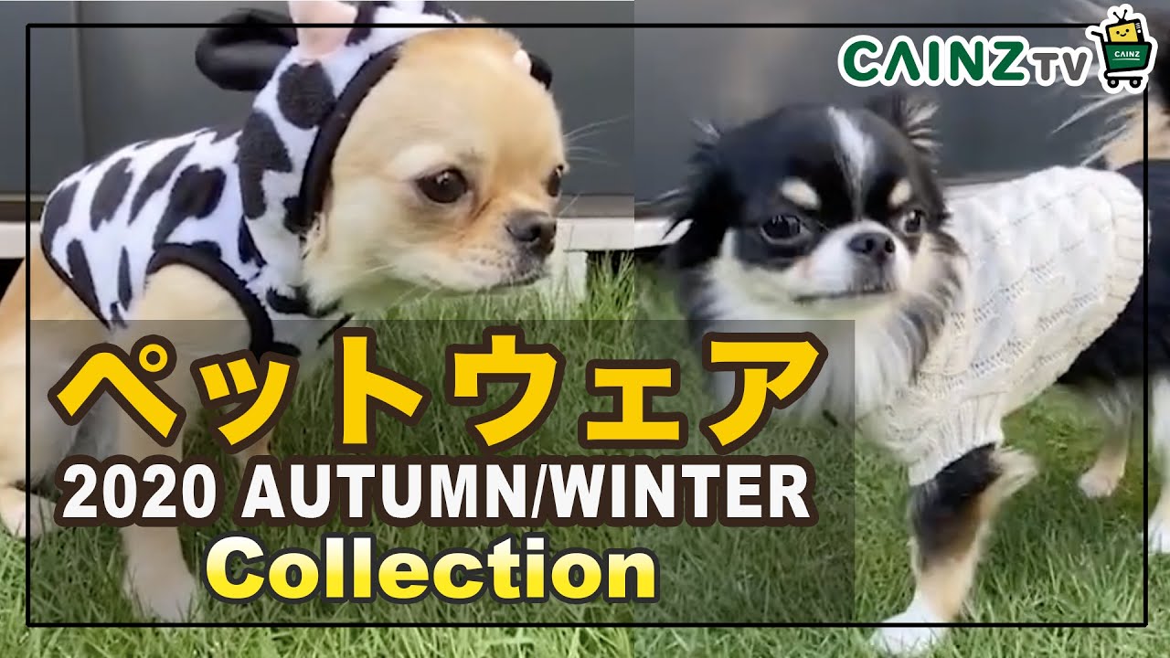 ペットウェア・ももかチャンネルコラボ｜2020年秋冬コレクション ワン