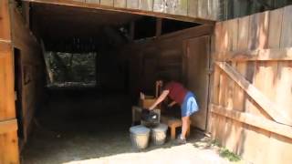 Beth Bohnert and her cashmere goats
