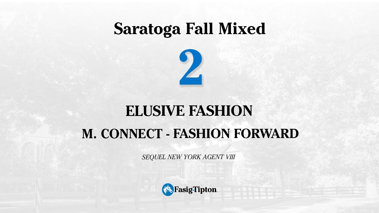 Hip #2 Elusive Fashion