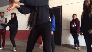 MPHS Class of 2016 Fantastics Promo Video