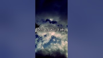 #القراءات_العشر | آيات من سورة النمل بصوت القارئ إلياس حجري