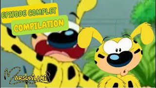 Le marsupilami aide ses amis | Compilation | Marsupilami en Français