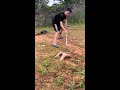 Pick up the hoe and dig hard.
