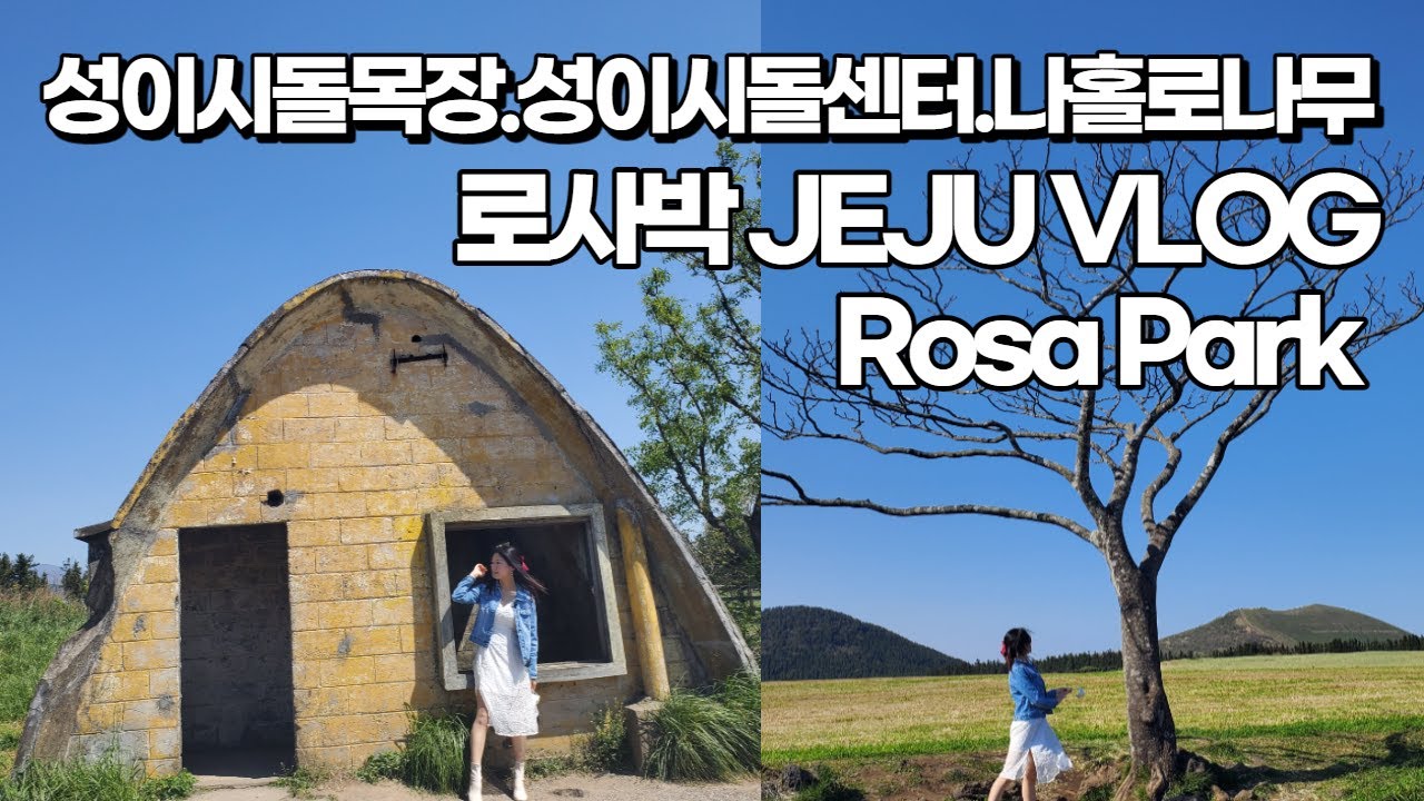 제주도 브이로그 성이시돌 목장 테쉬폰 성이시돌 센터 나홀로나무 Jeju vlog St. Isidore farm. 济州岛 旅行