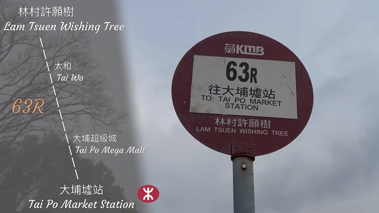 ［舒緩64K］九巴 63R 林村許願樹 ➡️ 大埔墟站 Lam Tsuen Wishing Tree ➡️ Tai Po Market Station 原速行車