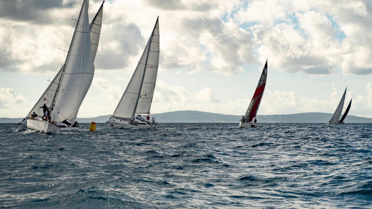 ⁣Livestream von Austrian Sailing Federation