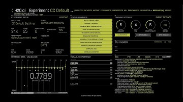H2O Driverless AI Demo