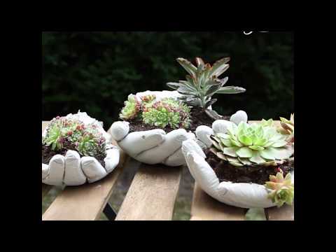 Video: Puoi coltivare piante in scarpe o stivali: usando le scarpe come contenitori per piante