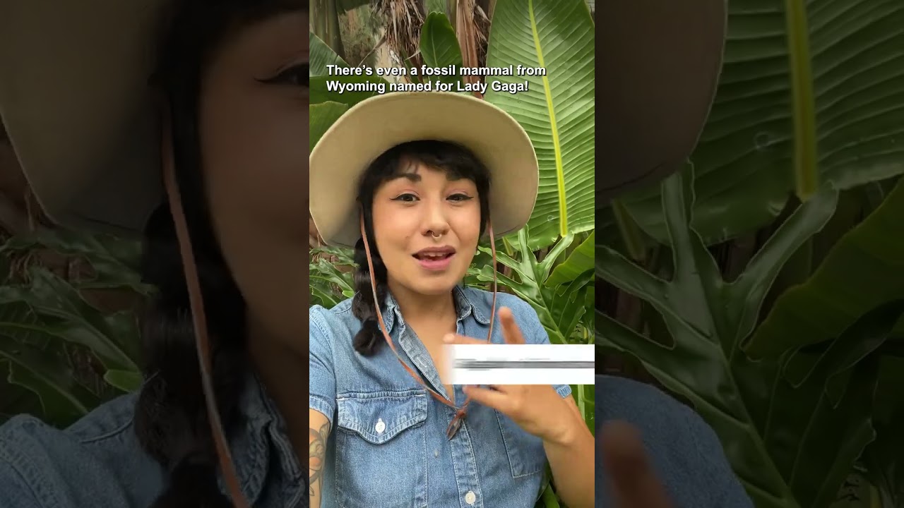 Here are two ways to get a fossil species named after you #shorts