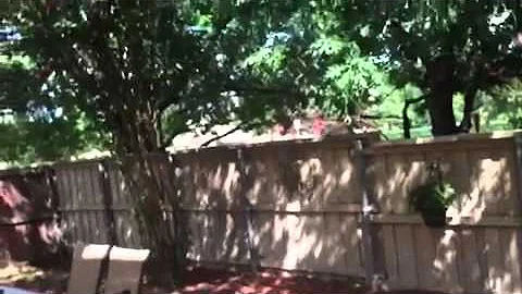 Real Ghost captured on camera 2013