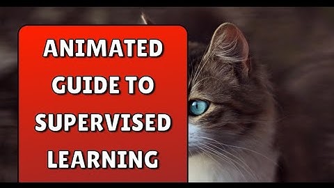 Animated Guide to Supervised Learning Algorithms