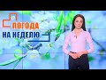 Ливни и солнце! Прогноз погоды с 16 по 22 мая 2022. Погода на неделю. Лунный календарь