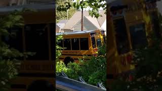 School Bus dropped off students, stop please #school #kids#india #shorts