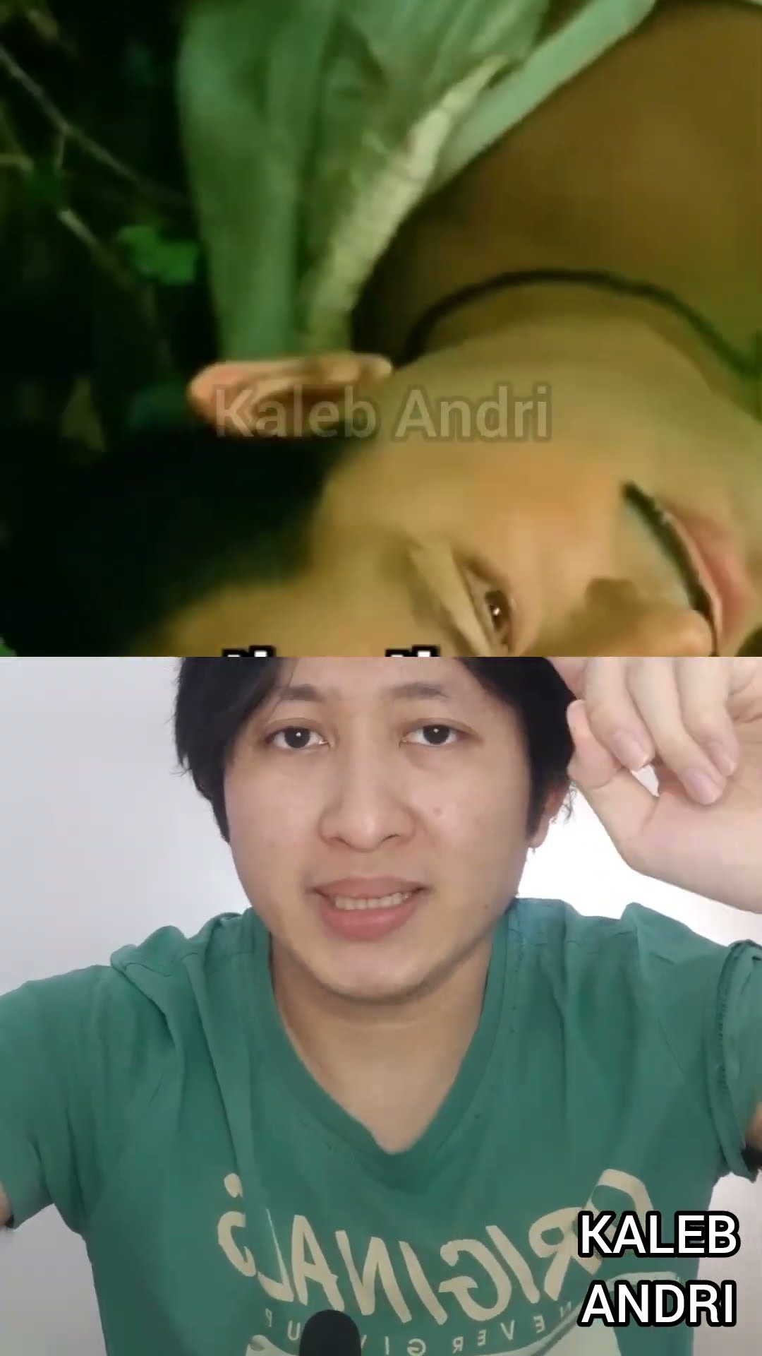 COWOK DIBAKAR OTAKNYA MONYET SAAT TERJEBAK DI DUNIA DINOSAURUS | Kaleb Andri #shorts #storytime