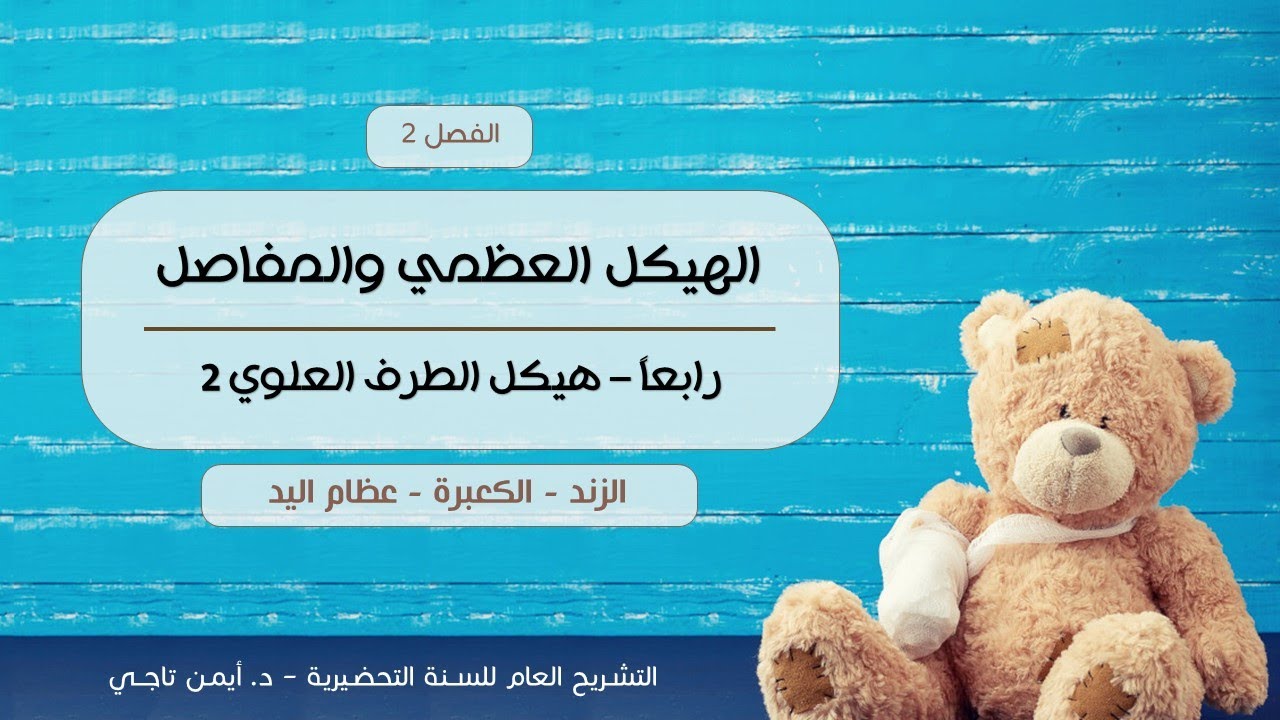هيكل الطرف العلوي 2 | الزند - الكعبرة - عظام اليد | التشريح العام للسنة التحضيرية