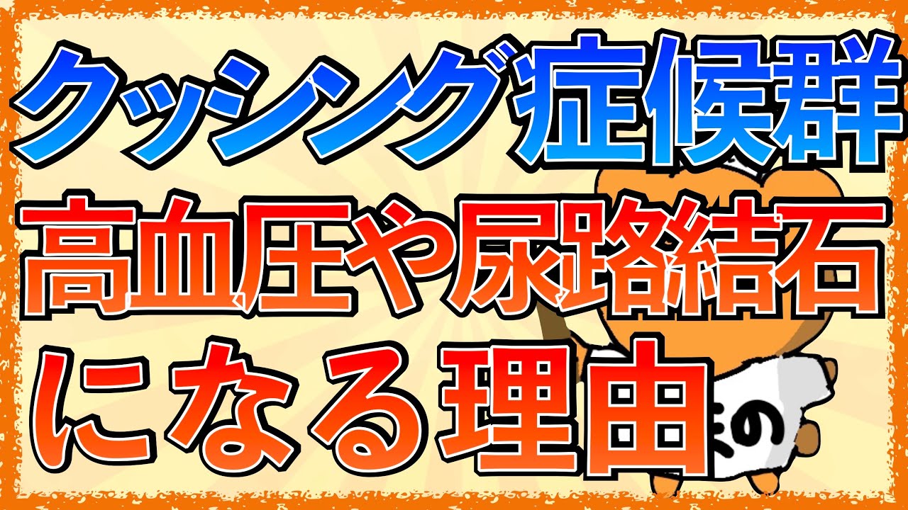 イラストで学ぶ医学！「クッシング症候群で高血圧や尿路結石になる仕組みとは？」病態や症状の機序をわかりやすく解説！