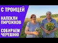 С ТРОИЦЕЙ / Собираем клубнику и черешню / Нарвали чабреца / Загородная жизнь на юге