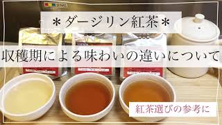 【ルピシア 紅茶】ダージリン飲み比べ　収穫期による味わいの違い