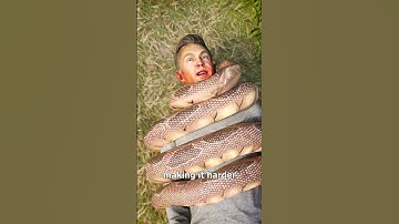 Thumbnail of How A Snake Could Choke A Human 😱