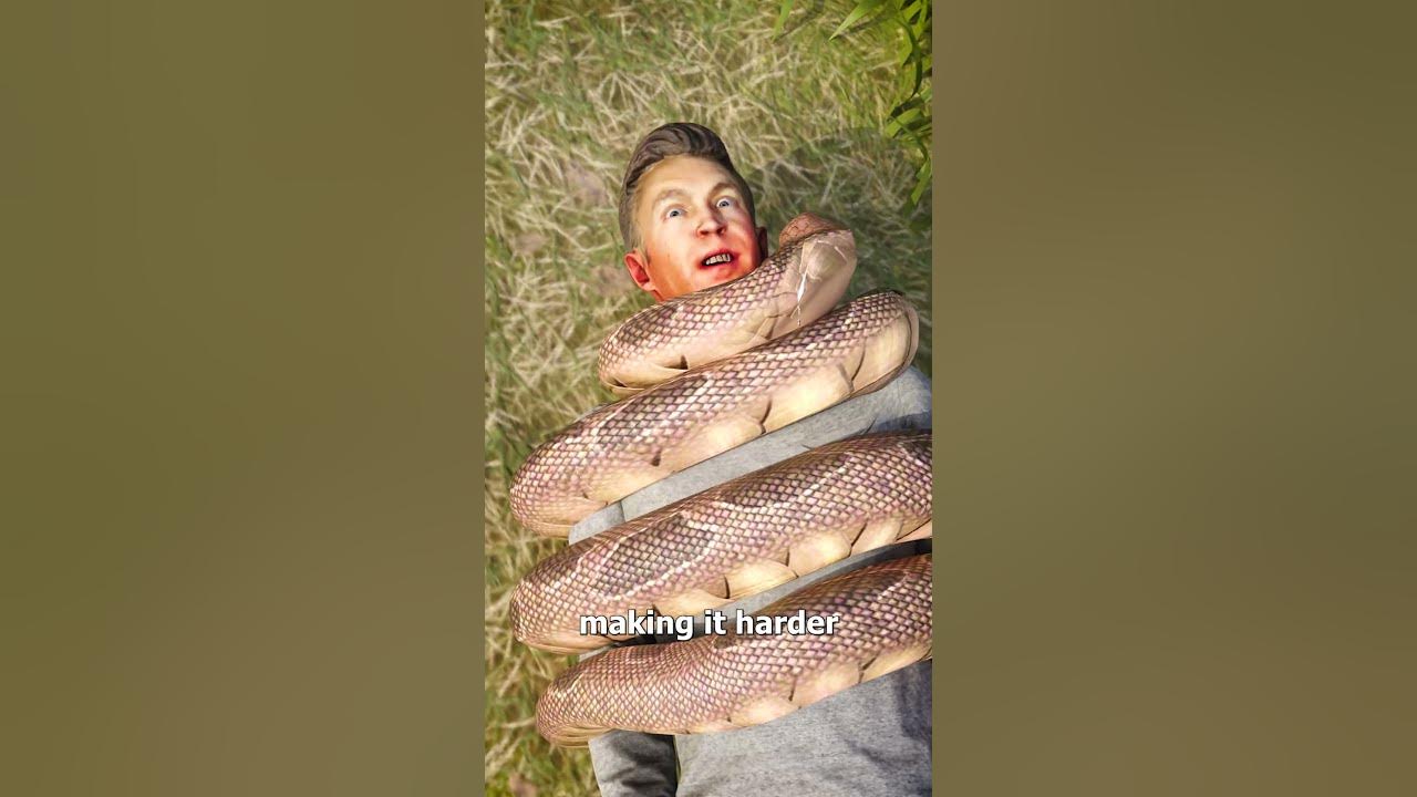 How A Snake Could Choke A Human 😱