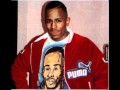 MC Shan The Bridge