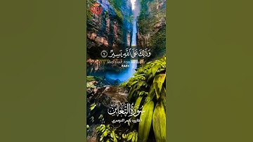زَعَمَ الَّذِينَ كَفَرُوا أَن لَّن يُبْعَثُوا.. #ياسر_الدوسري #ريحانة_قرآن #قرآن #تلاوات_خاشعة