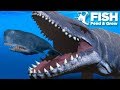 PLAYING AS THE MOSASAUR!!! - Fish Feed Grow