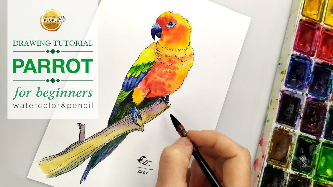 PARROT WATERCOLOR PAINTING - Full Easy Drawing Tutorial - How To Draw a ...