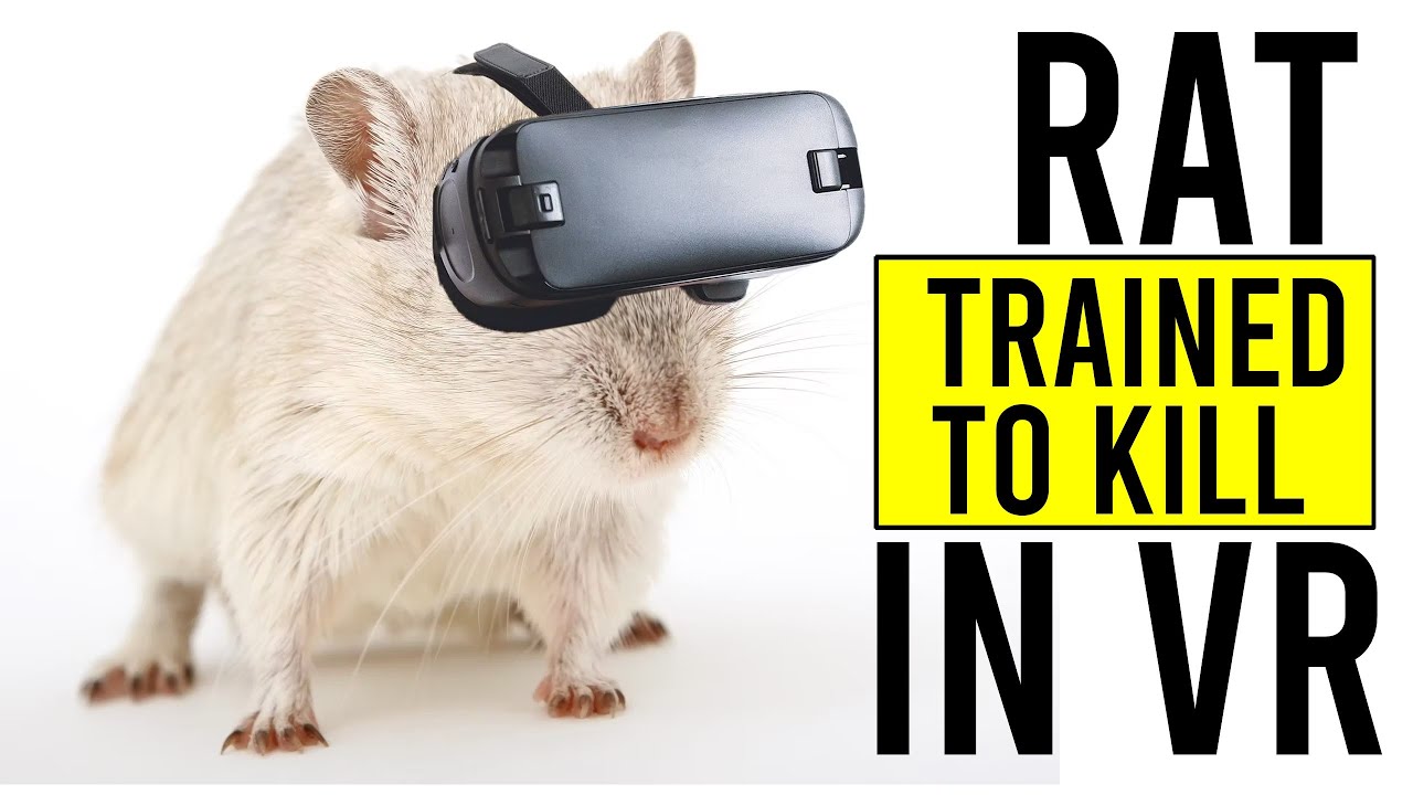 WTF! RATS TRAINED TO KILL USING VR RIG & DOOM 2!