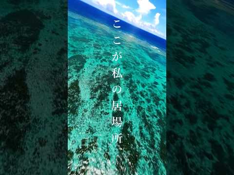File.38 世界に誇れる沖縄の景色　ここが私の居場所　ロングバージョン