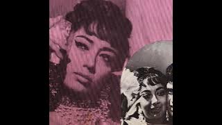 Lata Mangeshkar & Mohd Rafi - Hum Tumhare Liye(Vinyl - 1969)