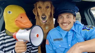 Rubber Ducky Surprises Police &amp; Puppy with Car Ride Chase!