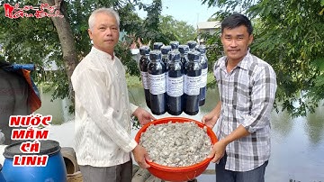 Cách Ủ Và Nấu Nước Mắm Cá Linh Sản Phẩm Đồng Quê Gia Truyền Của Người Miền Tây | NKGĐ